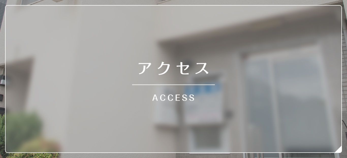 アクセス ACCESS
