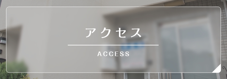 アクセス ACCESS